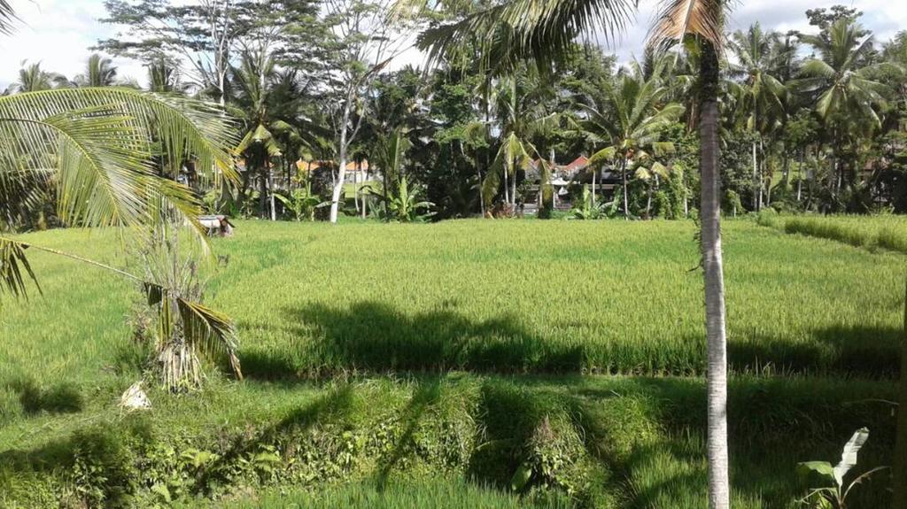 Kishi-Kishi Ubud Villas Exterior foto